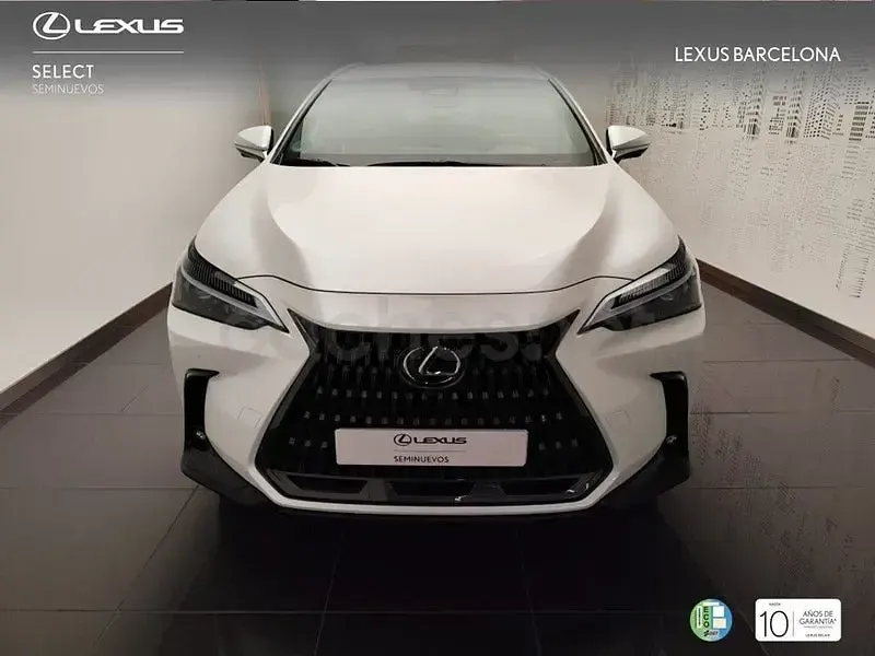 Usado Lexus NX350h Executive Line 244 CV (179 kW) 2022 Blanco SUV