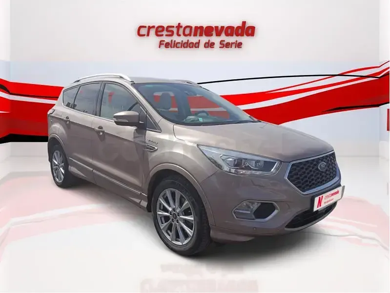 Usado Ford Kuga Vignale 150 CV (110 kW) 2019 Beige SUV