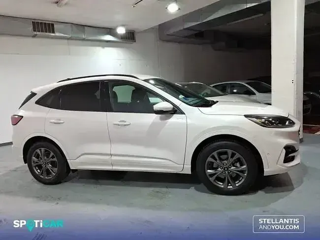 Usado Ford Kuga ST-Line 225 CV (165 kW) 2022 Gris SUV