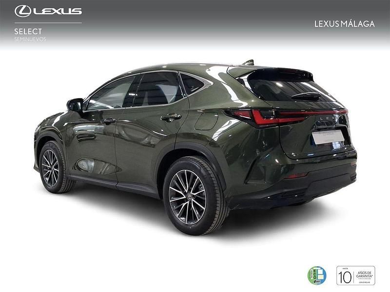 Nuevo Lexus NX450h+ Executive Line 306 CV (225 kW) 2025 Verde SUV
