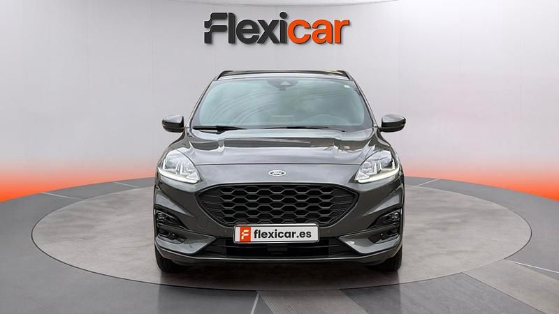 Usado Ford Kuga ST-Line 120 CV (88 kW) 2024 Gris SUV