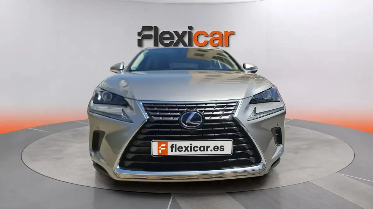 Usado Lexus NX300h Business Edition 197 CV (144 kW) 2020 Gris SUV