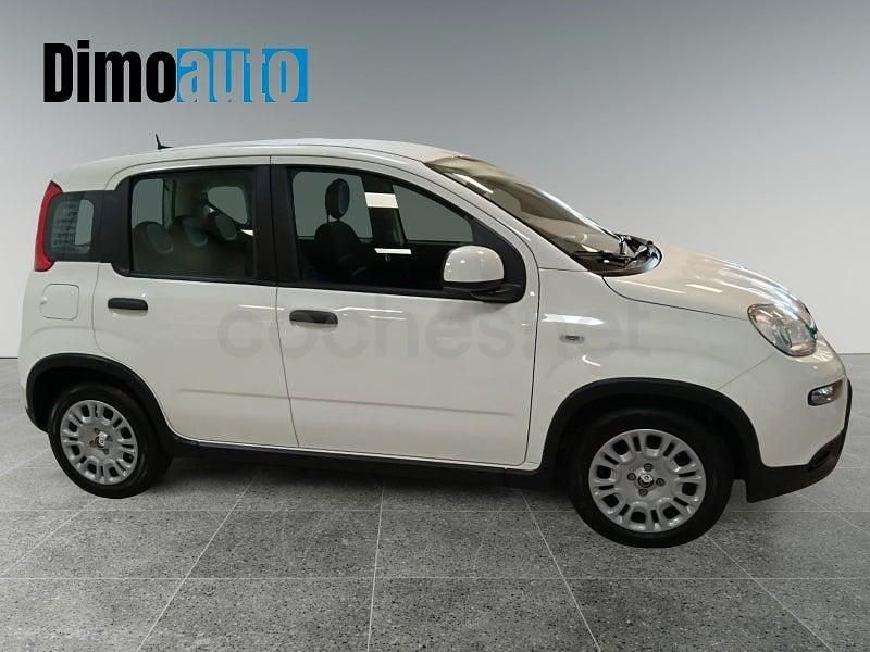 Usado Fiat Panda Icon 70 CV (51 kW) 2025 Blanco Utilitario