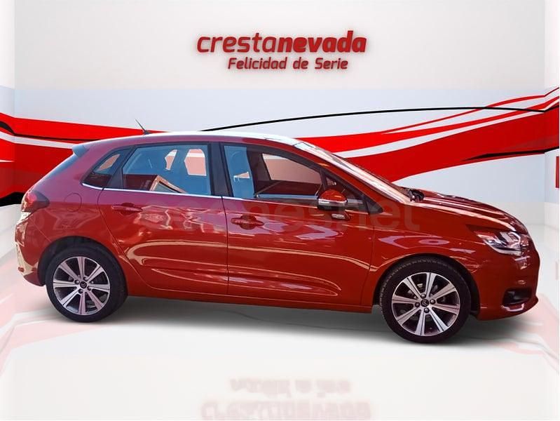Usado Citroën C4 Feel 99 CV (72 kW) 2016 Rojo Berlina
