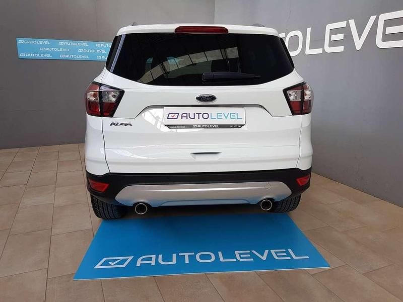 Usado Ford Kuga Trend+ 120 CV (88 kW) 2019 Blanco SUV