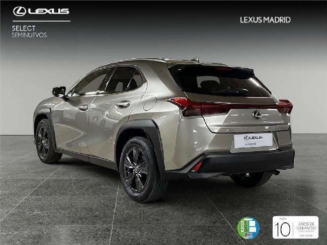 Usado Lexus UX 2024 SUV