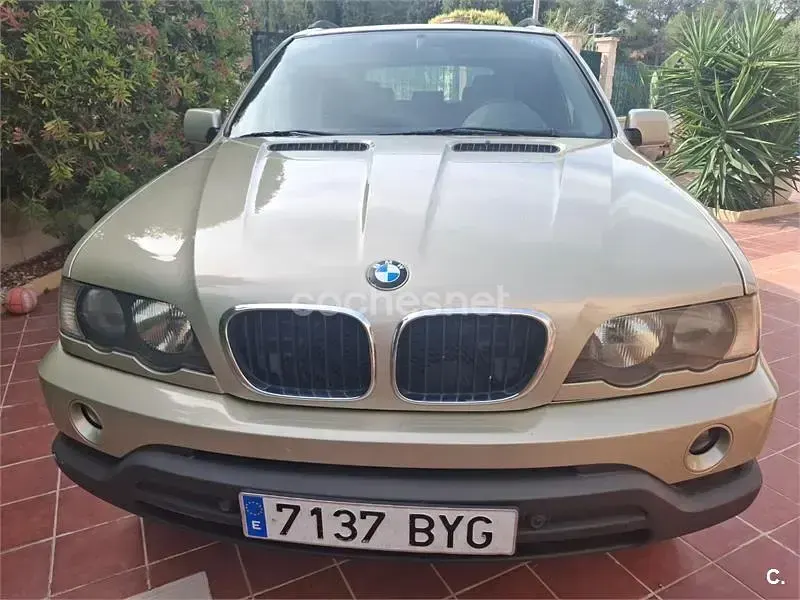 Usado BMW X5 231 CV (169 kW) 2002 Beige SUV