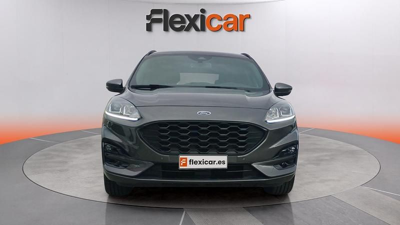 Usado Ford Kuga ST-Line 120 CV (88 kW) 2024 Gris SUV