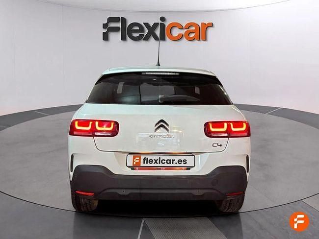 Usado Citroën C4 Cactus 102 CV (75 kW) 2020 Blanco Utilitario
