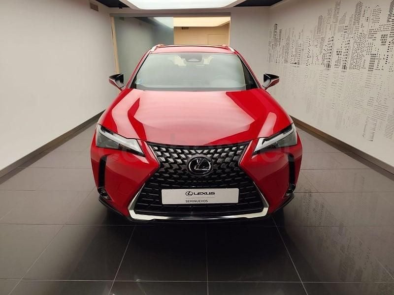 Usado Lexus UX 199 CV (146 kW) 2025 Rojo SUV