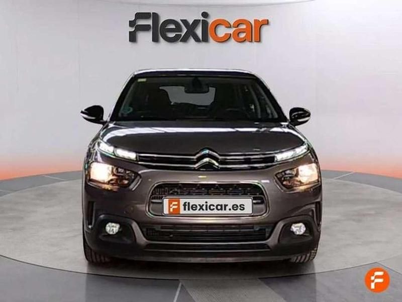 Usado Citroën C4 Cactus Feel 110 CV (80 kW) 2020 Gris Utilitario