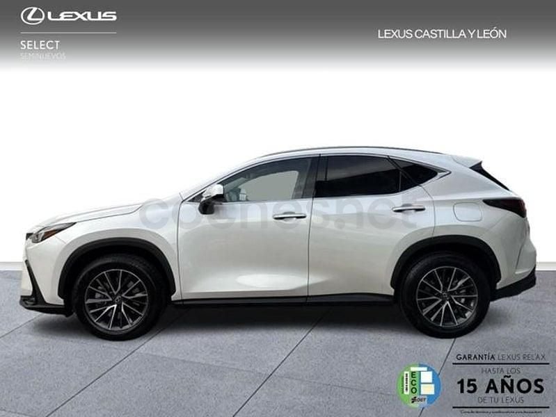 Usado Lexus NX450h+ 306 CV (225 kW) 2025 Blanco SUV