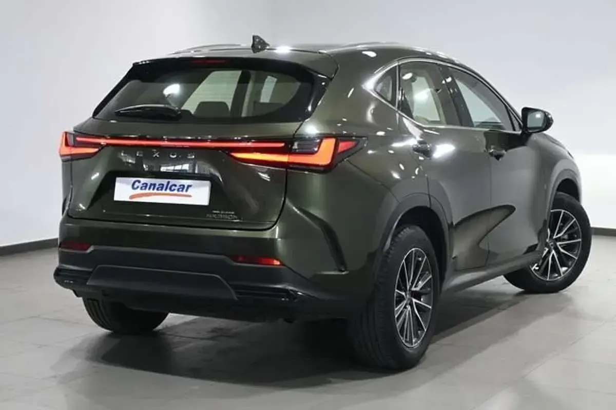 Usado Lexus NX300h Executive Line 197 CV (144 kW) 2022 Verde SUV