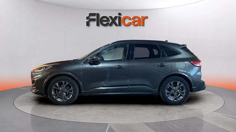 Usado Ford Kuga ST-Line 120 CV (88 kW) 2024 Gris SUV