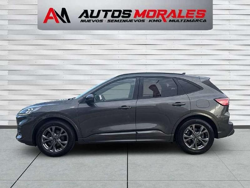 Usado Ford Kuga ST-Line 150 CV (110 kW) 2022 Gris SUV