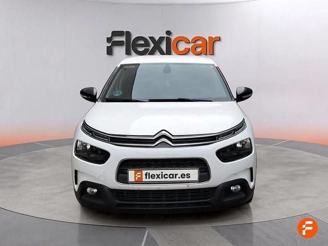 Usado Citroën C4 Cactus Feel 102 CV (75 kW) 2019 Blanco Utilitario