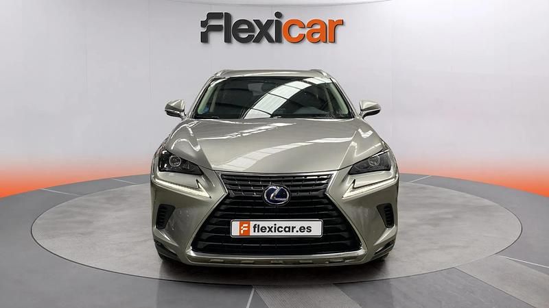 Usado Lexus NX300h Business Edition 197 CV (144 kW) 2018 Gris SUV