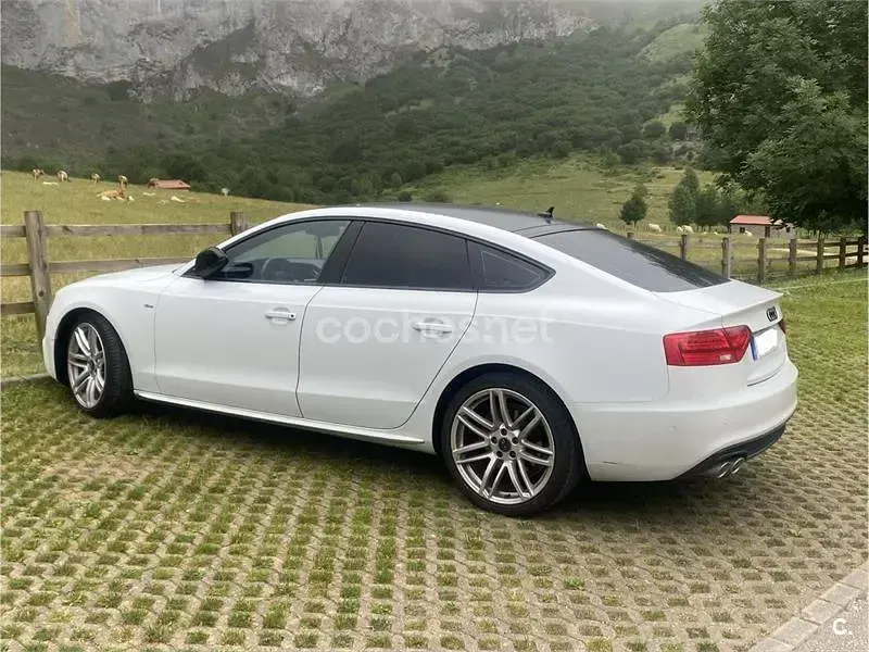 Usado Audi A5 Sportback Sport 190 CV (139 kW) 2015 Blanco Utilitario