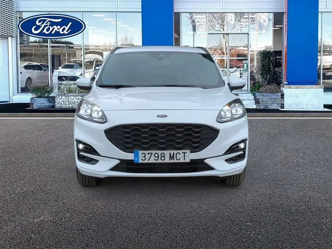 Usado Ford Kuga ST-Line X 226 CV (166 kW) 2022 Blanco SUV