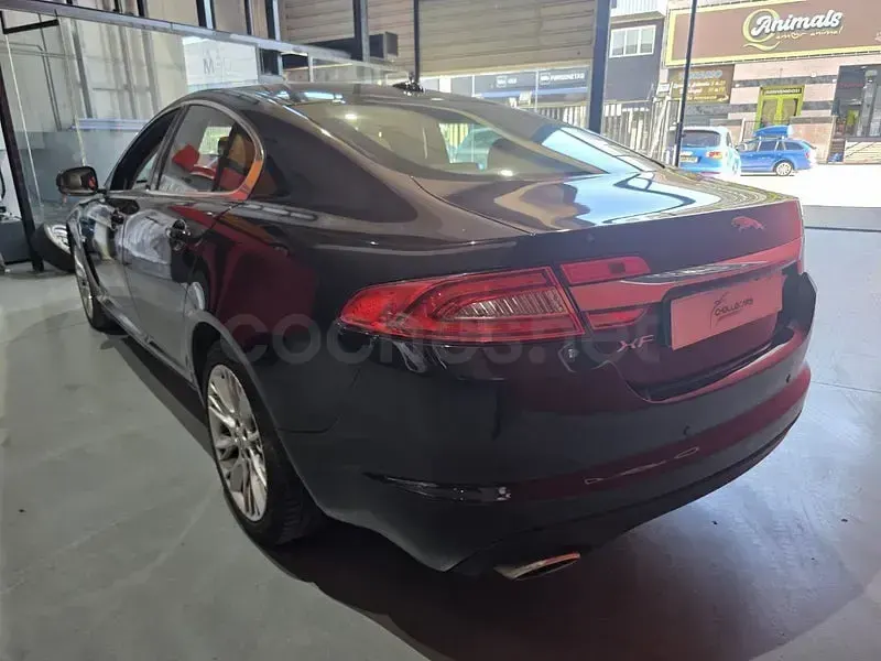 Usado Jaguar XF Premium Luxury 238 CV (175 kW) 2011 Granate Berlina