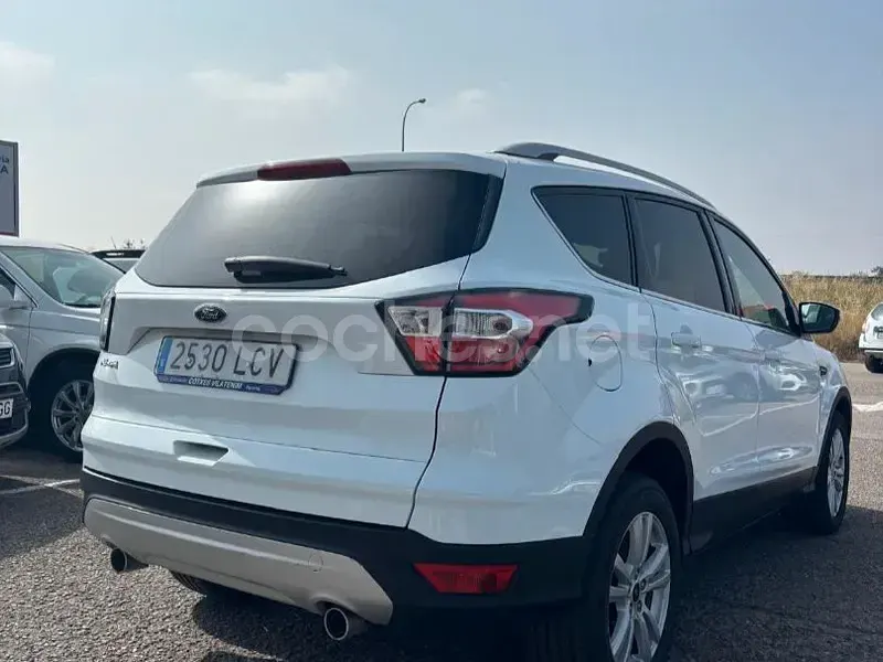 Usado Ford Kuga Trend 120 CV (88 kW) 2019 Blanco SUV