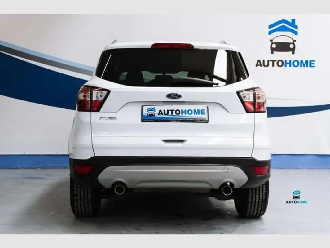 Usado Ford Kuga Trend+ 120 CV (88 kW) 2019 Blanco SUV