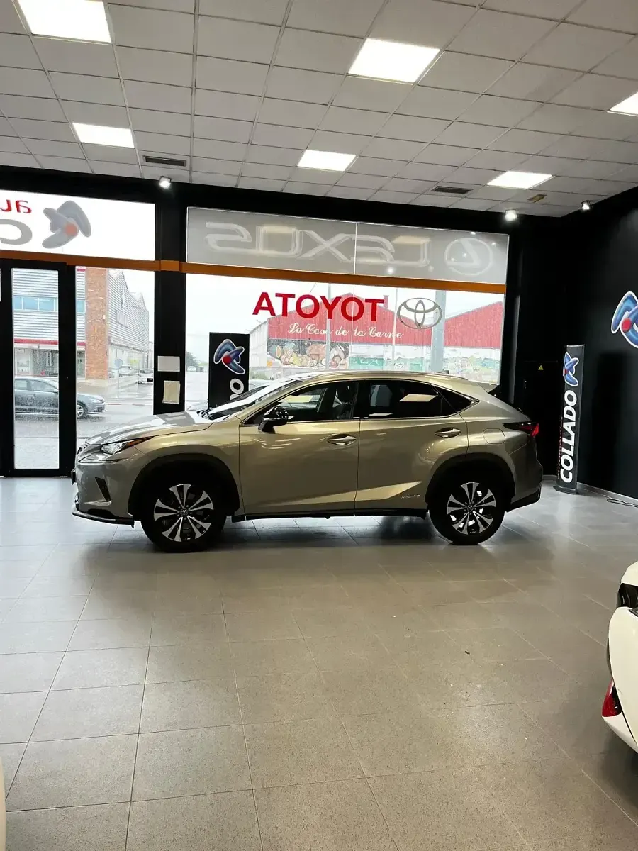 Usado Lexus NX300h 197 CV (144 kW) 2021 Gris / plata SUV