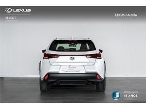 Usado Lexus UX 300e Executive Line 150 kW (204 CV) 2023 Otros SUV