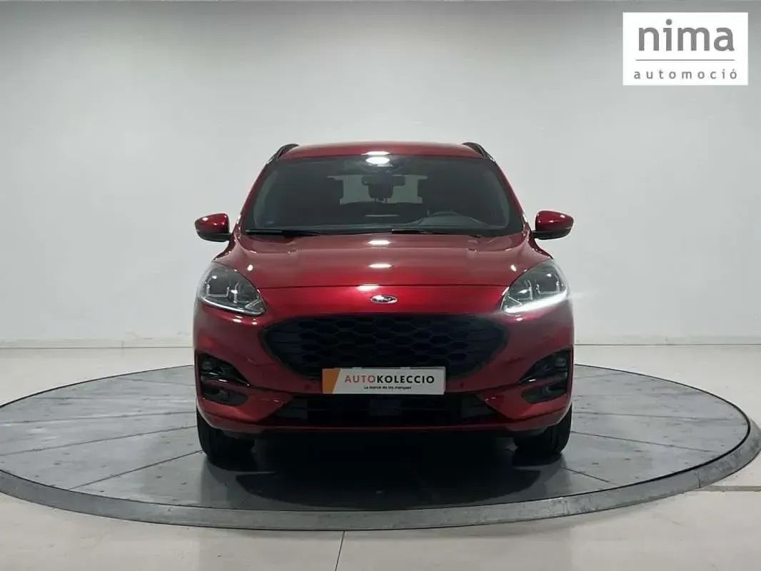 Usado Ford Kuga ST-Line 226 CV (166 kW) 2024 SUV