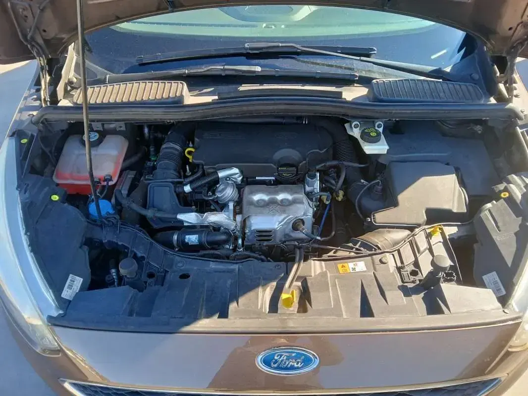 Usado Ford C-MAX S 125 CV (91 kW) 2016 Marrón Monovolumen