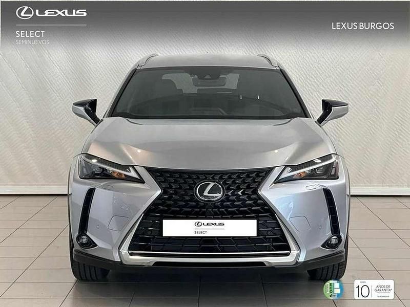 Usado Lexus UX 250h 184 CV (135 kW) 2024 Blanco SUV