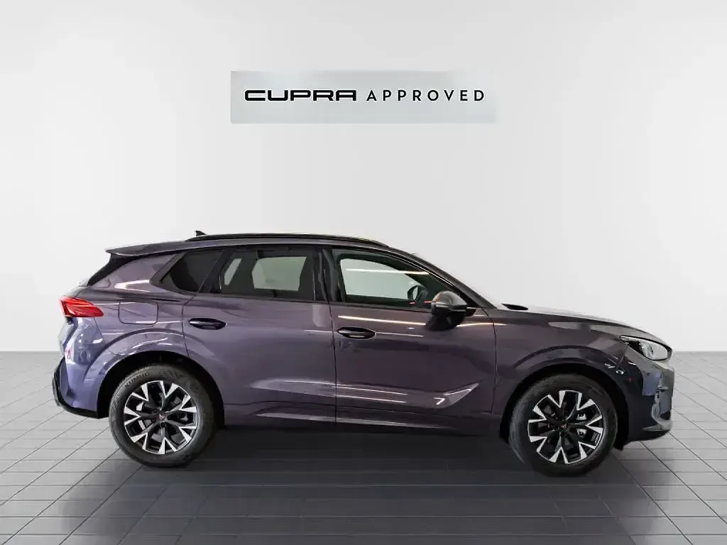 Usado Cupra Terramar 150 CV (110 kW) 2025 Rojo SUV