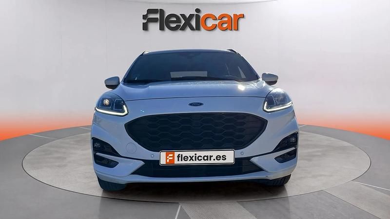 Usado Ford Kuga ST-Line 150 CV (110 kW) 2022 Blanco SUV