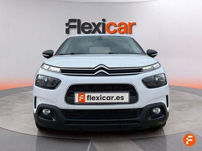 Usado Citroën C4 Cactus Shine 102 CV (75 kW) 2019 Blanco Utilitario