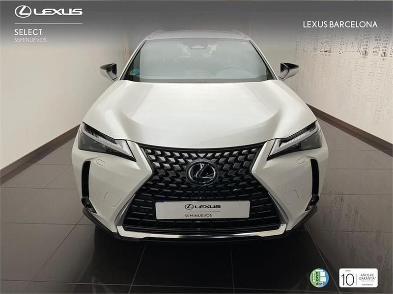 Usado Lexus UX 300h 199 CV (146 kW) 2025 Blanco SUV