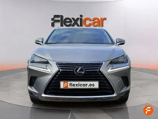 Usado Lexus NX300h Executive Line 197 CV (144 kW) 2021 Beige SUV