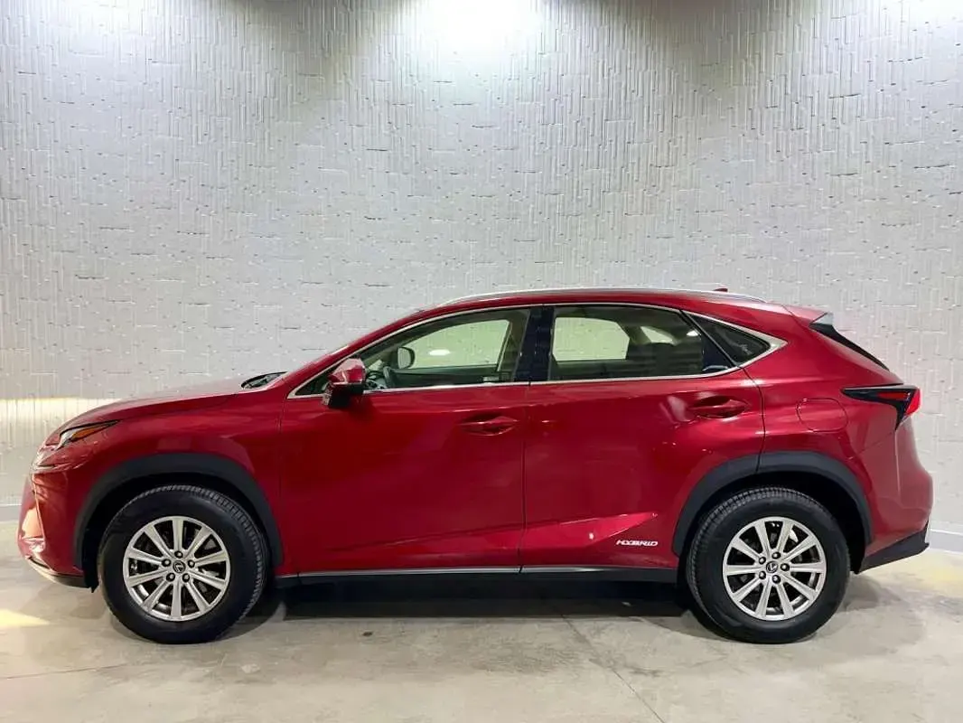 Usado Lexus NX300h Business Edition 197 CV (144 kW) 2020 Burdeos SUV