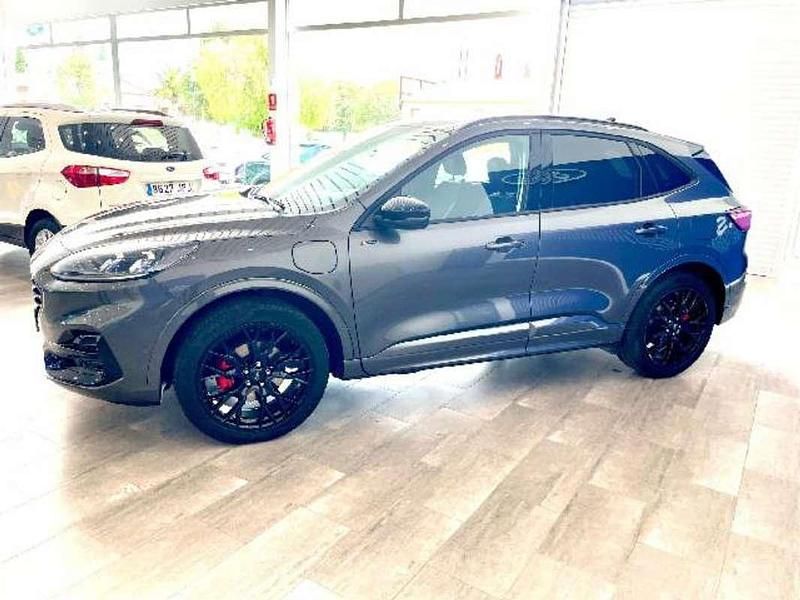 Usado Ford Kuga ST-Line 226 CV (166 kW) 2022 Gris SUV