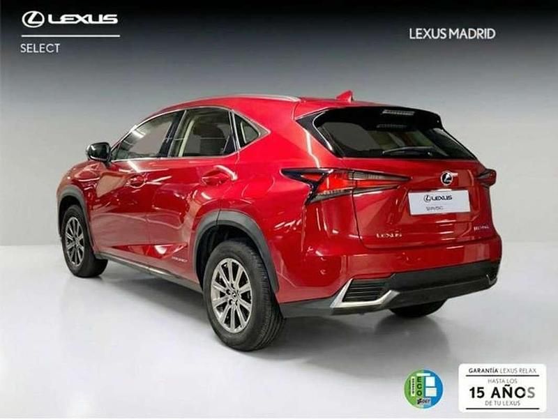 Usado Lexus NX300h Business Edition 197 CV (144 kW) 2020 Rojo SUV