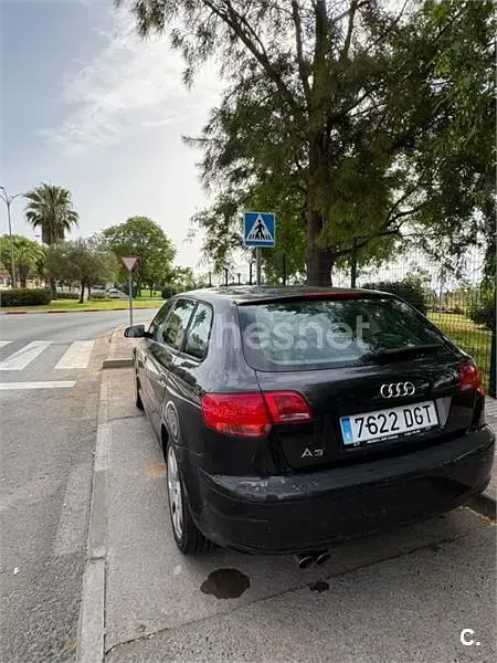 Usado Audi A3 Ambition 150 CV (110 kW) 2005 Negro Utilitario