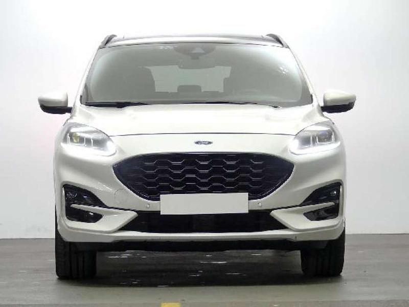 Usado Ford Kuga ST-Line X 227 CV (166 kW) 2021 Blanco SUV