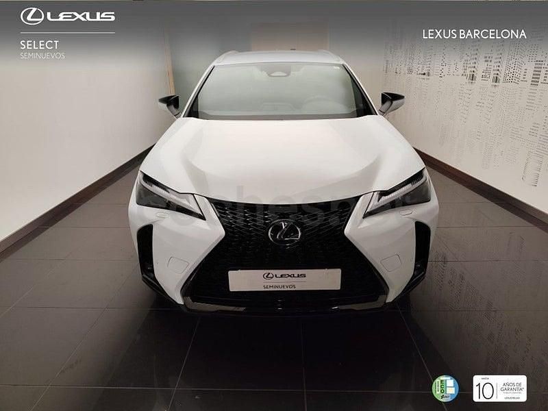 Usado Lexus UX Sport Line 199 CV (146 kW) 2025 Blanco SUV