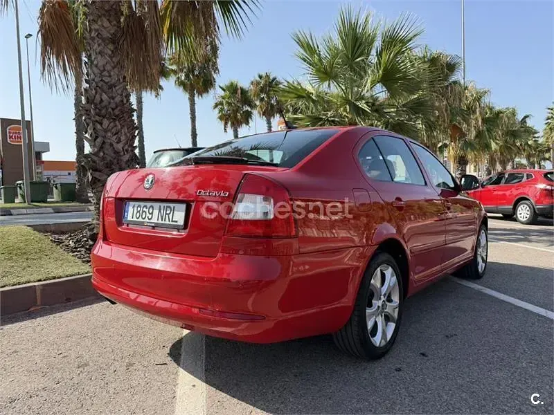 Usado Skoda Octavia Executive 160 CV (117 kW) 2011 Rojo Berlina