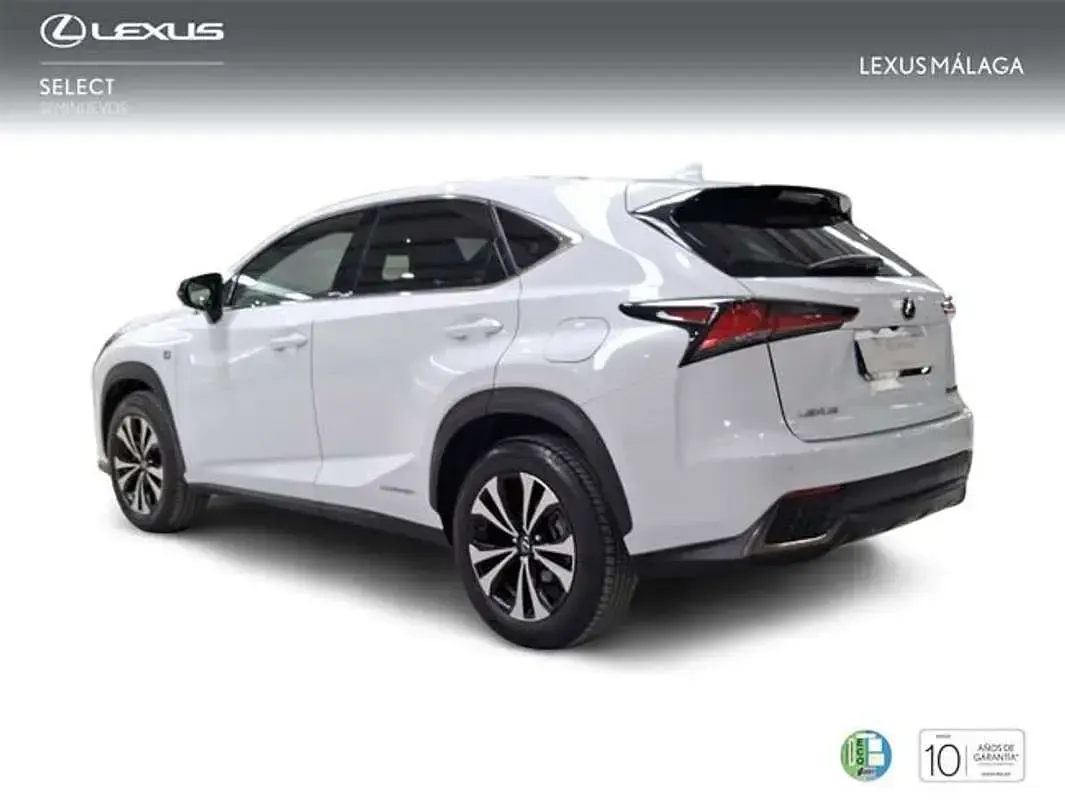 Usado Lexus NX300h Sport Line 197 CV (144 kW) 2020 Blanco SUV