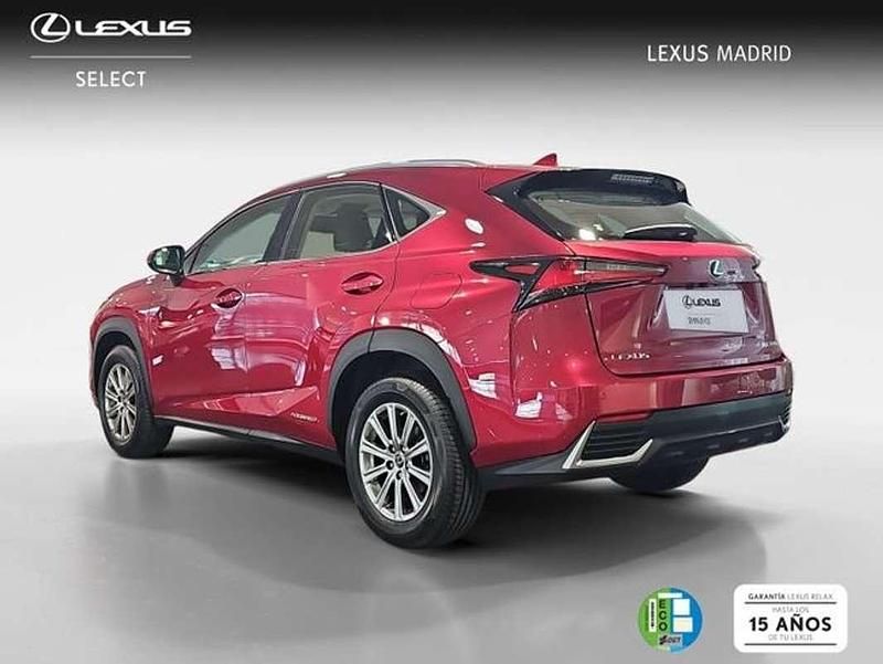 Usado Lexus NX300h Business Edition 197 CV (144 kW) 2020 Rojo SUV
