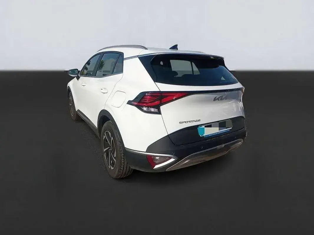 Usado Kia Sportage 150 CV (110 kW) 2023 Blanco SUV