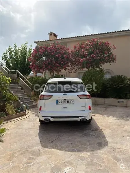 Usado Ford Kuga ST-Line X 180 CV (132 kW) 2023 Blanco SUV