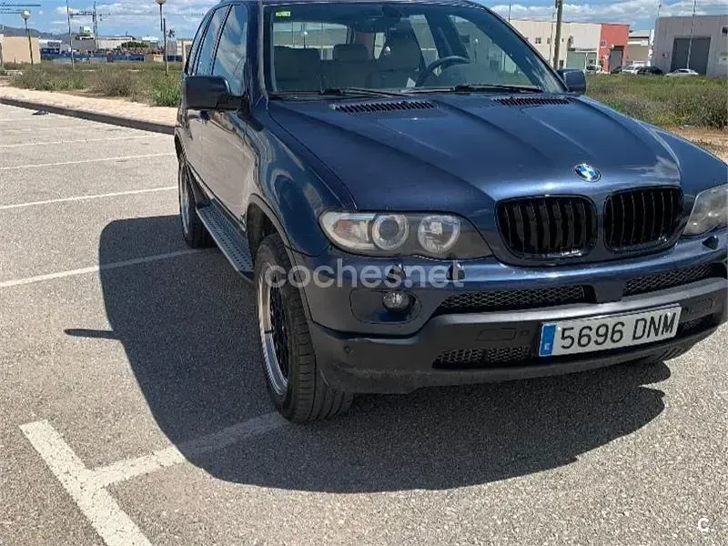 Usado BMW X5 218 CV (160 kW) 2005 Azul SUV