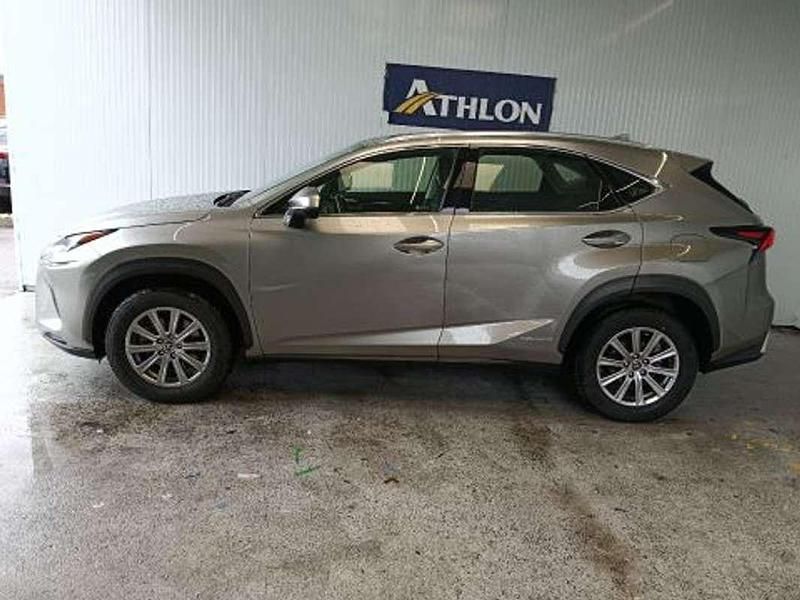 Usado Lexus NX300h Business Edition 197 CV (144 kW) 2021 Gris SUV