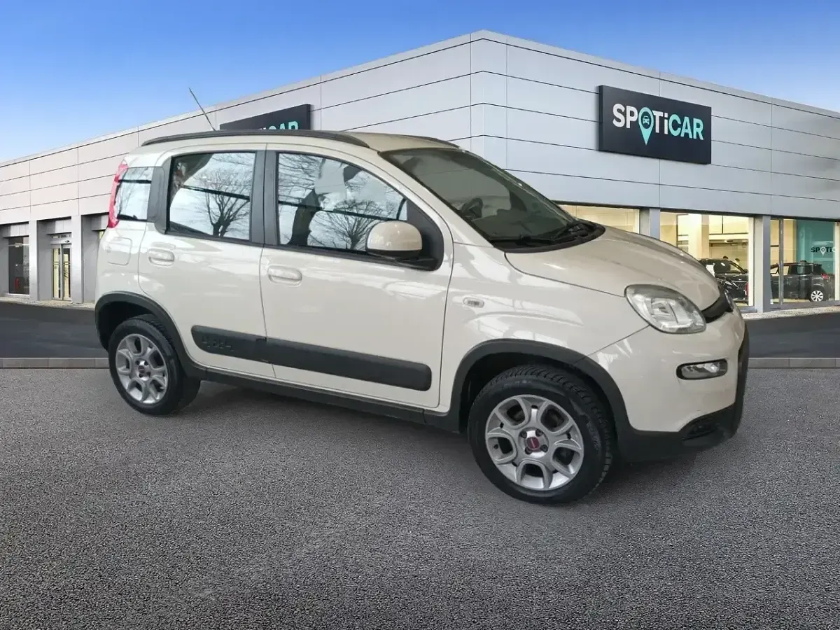 Usado Fiat Panda 4x4 75 CV (55 kW) 2014 Gris Utilitario